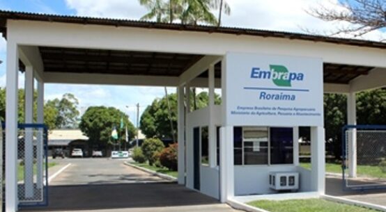 Embrapa-RR abre seleção para 25 bolsistas de Estímulo à Inovação