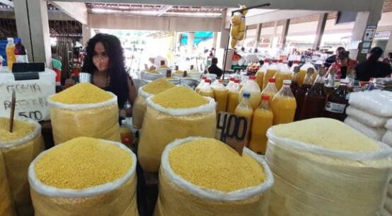 Iater assume administração das feiras do Governo de Roraima