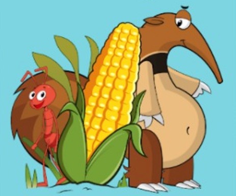 Filme de animação roraimense será exibido em São Paulo no maior festival de cinema ambiental do Brasil