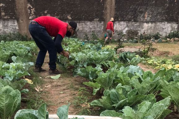 Reeducandos da Pamc participam de projeto de horta e auxiliam na revitalização de escola