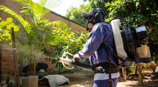 Aedes Aegypti: Boa Vista cai para médio risco em transmissão de dengue, zika e chikungunya