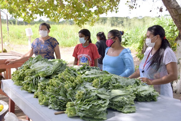 Conab participa da Expoferr Show com prestação de serviços e oficinas