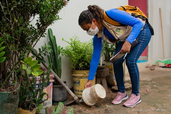 Boa Vista apresenta redução de risco para epidemias de dengue, zika e chikungunya