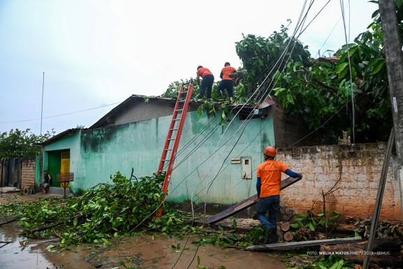 Defesa Civil trabalha na retirada de árvores e galhadas após a forte chuva em Boa Vista neste sábado