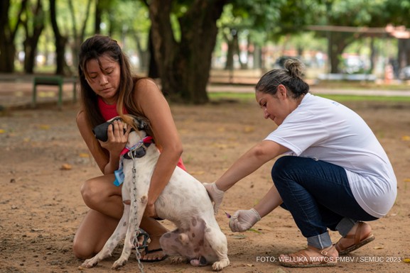 Antirrábica: Prefeitura imuniza cerca de 3 mil animais durante campanha na Zona Rural de Boa Vista