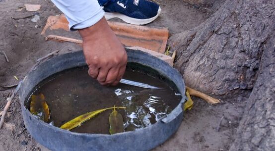 Ministérios da Saúde e Educação iniciam mobilização contra a dengue em escolas de Roraima
