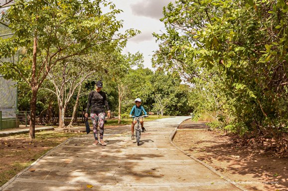 Com preservação da Biodiversidade Amazônica, Bosque dos Papagaios abriga espécies de árvores da região
