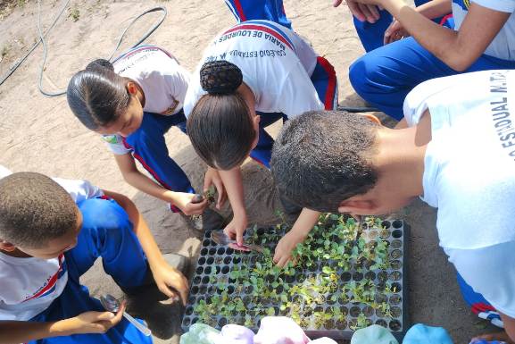 Conferência Nacional: Roraima se prepara para evento sobre questões ambientais no contexto escolar