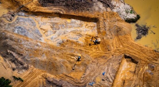 Dois anos da crise humanitária na Terra Indígena Yanomami: Greenpeace Brasil alerta que garimpo continua presente