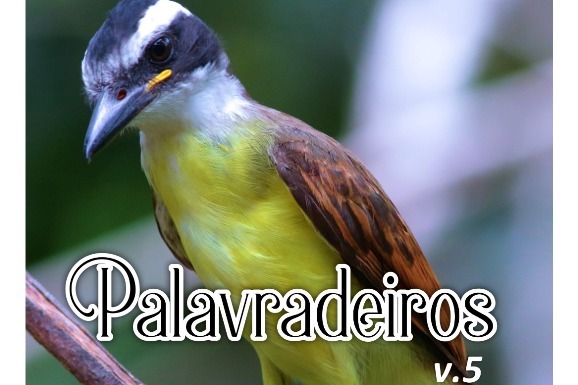 Livro roraimense com poemas finalistas de concurso literário é disponibilizado gratuitamente na internet