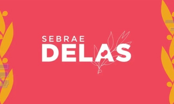 Programa Sebrae Delas está com inscrições abertas em Roraima