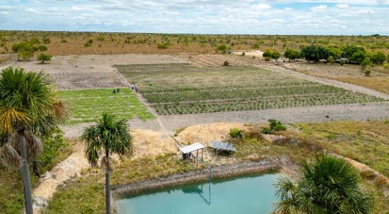 Irrigação com uso de energia solar reduz custo operacional e amplia capacidade de produção em comunidades indígenas de Boa Vista