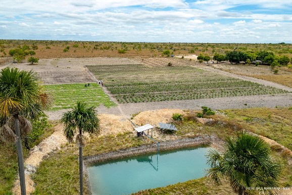 Irrigação com uso de energia solar reduz custo operacional e amplia capacidade de produção em comunidades indígenas de Boa Vista
