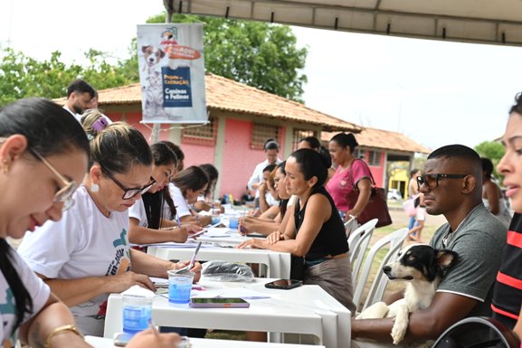 Cães e gatos: ALE-RR inicia cadastramento para castração gratuita no Programa do Bem-Estar Animal
