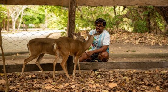Em meio à Biodiversidade Amazônica, Bosque dos Papagaios se torna santuário de animais silvestres