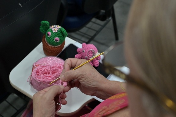 Qualificação gratuita: Escolegis impulsiona empreendedorismo e gera novas oportunidades em Roraima