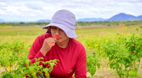 Chamada pública: Agroambiental tem inscrições prorrogadas até 28 de fevereiro