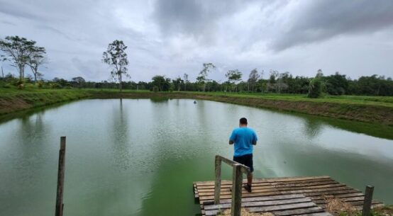 Programa de aceleração investe até R$ 100 mil em negócios de impacto socioambiental em Roraima