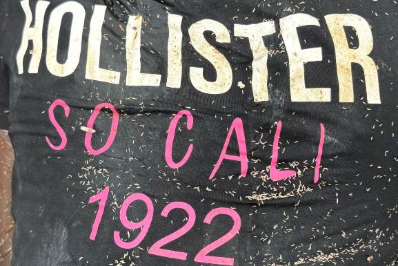 IML aguarda familiares para identificação de corpos encontrados no Distrito Industrial