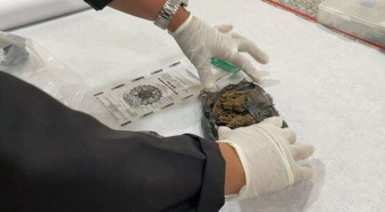 Identificação de drogas: peritos da Polícia Civil testam habilidades em ensaio nacional