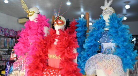 Vendas de Carnaval: pesquisa de preços é aliada do consumidor, orienta Procon Assembleia