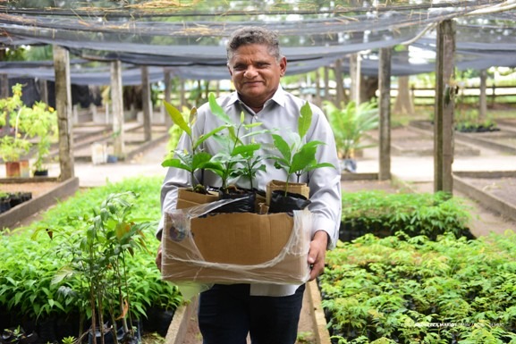 Boa Vista Verde: projeto incentiva doação de sementes para ampliar arborização e qualidade de vida na cidade