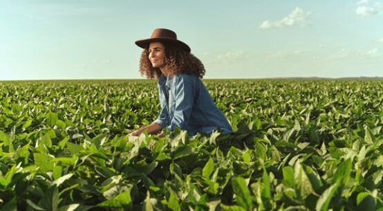 Lavoura, propriedade e máquinas: mudanças climáticas impulsionam a procura por seguros agro em Roraima