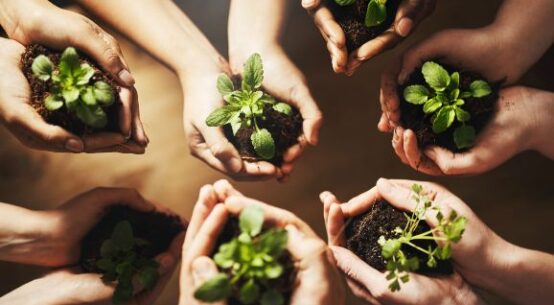 Prêmio Braztoa de Sustentabilidade 2025 abre inscrições com novidades e destaque para a Amazônia