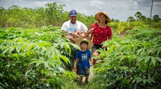 Agricultura familiar indígena transforma vidas e preserva tradições em Boa Vista