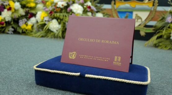 Parlamentares aprovam decretos legislativos e requerimentos durante sessão ordinária
