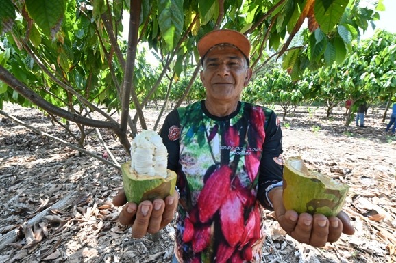 ALE-RR aprova debates sobre cacau, salário de servidores e denúncias sobre transporte escolar