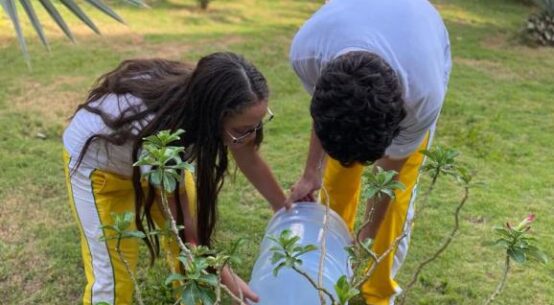 Educação Ambiental: curso capacita professores e coordenadores pedagógicos em justiça climática