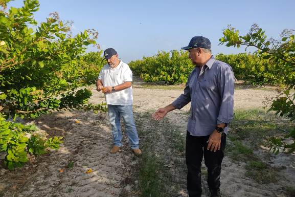 Socializando saberes: Governo de Roraima impulsiona agricultura familiar com projeto agroecológico