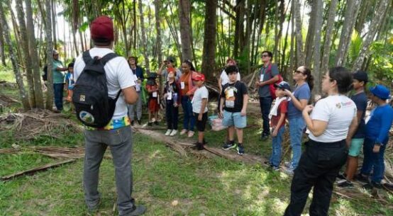 Turistea: crianças atendidas pelo TEAMARR visitam cultivo do açaí no Cantá