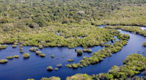 Quase todos os biomas registraram redução do desmatamento em 2024