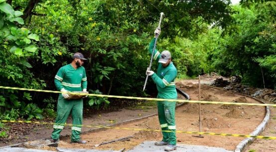 Bosque dos Papagaios passa por obras de revitalização até julho