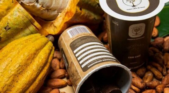 Campanha valoriza negócios de impacto que contribuem para a proteção da floresta amazônica