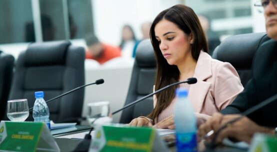 Câmara aprova requerimento para realização de audiência pública sobre turismo em Boa Vista