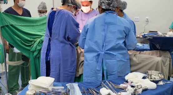Habilitação: médicos participam de treinamento sobre Protocolo de Morte Encefálica