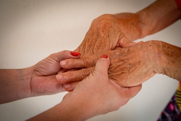 Junho Violeta: ALE-RR alerta para violência contra idosos e reforça papel da sociedade na proteção de pessoas com 60 anos ou mais