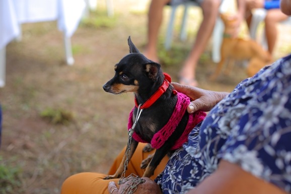 Saúde mental: ALE-RR aprova criação da campanha Julho Dourado