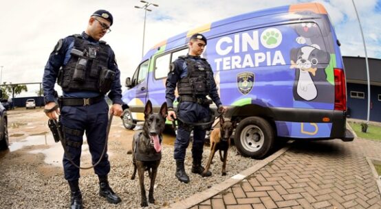 Cinoterapia: Prefeitura promove capacitação inédita para implantação de projeto na rede municipal de ensino