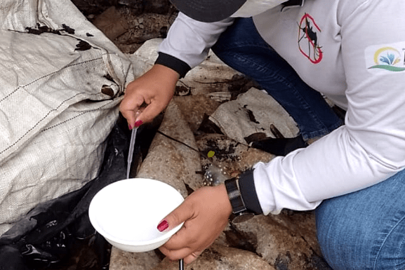 Roraima entra em alerta para risco elevado de infestação da dengue