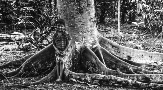 Povos da Floresta: Festival encerra primeira etapa em Porto Velho com público de 35 mil pessoas e reafirma a força cultural da Amazônia