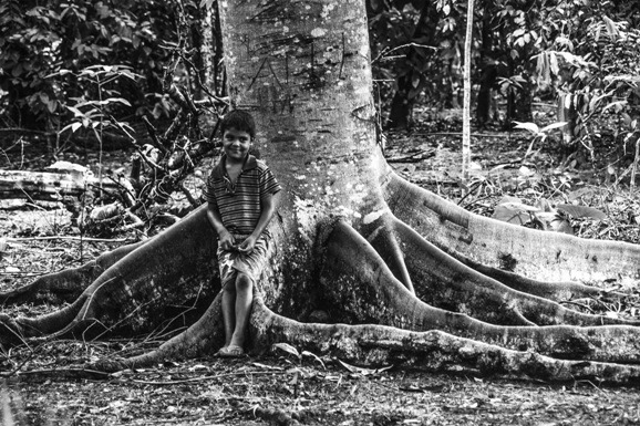 Povos da Floresta: Festival encerra primeira etapa em Porto Velho com público de 35 mil pessoas e reafirma a força cultural da Amazônia