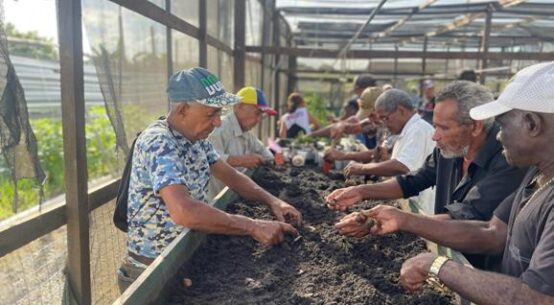 Dia do Meio Ambiente: Centro de Sustentabilidade promove integração entre pessoas brasileiras e refugiadas em Roraima