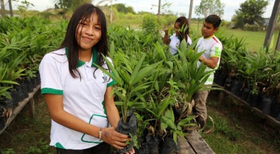 Amajari: IFRR abre seletivo para curso Técnico em Agropecuária em EAD
