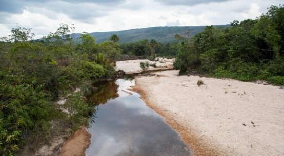 Meio Ambiente: ALE-RR aprova criação do Programa Estadual do Banco Hídrico