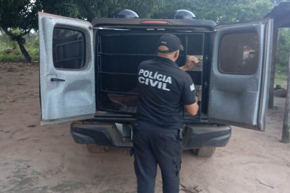 Cantá: PCRR prende indígena acusado de estuprar a sobrinha