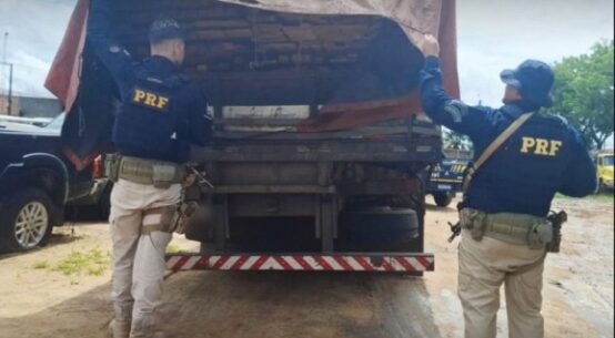 PRF-RR apreende arma de fogo, madeira irregular e prende homem por imigração ilegal